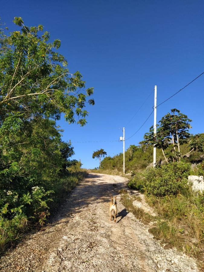 Gables Vacation Rentals With Private Gated Parking Onsite Knockpatrick Luaran gambar